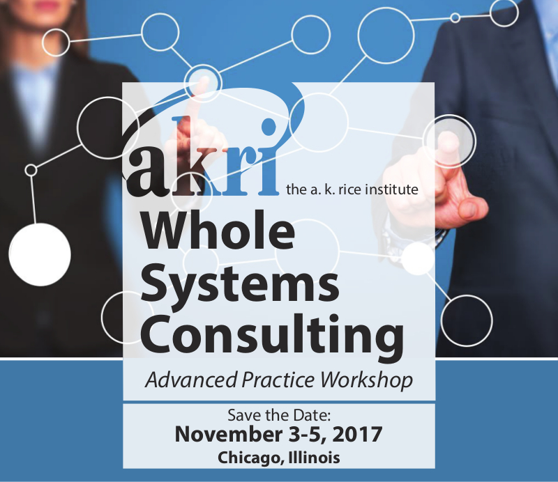 Whole Systems Consulting - Advanced Practice Workshop 2017