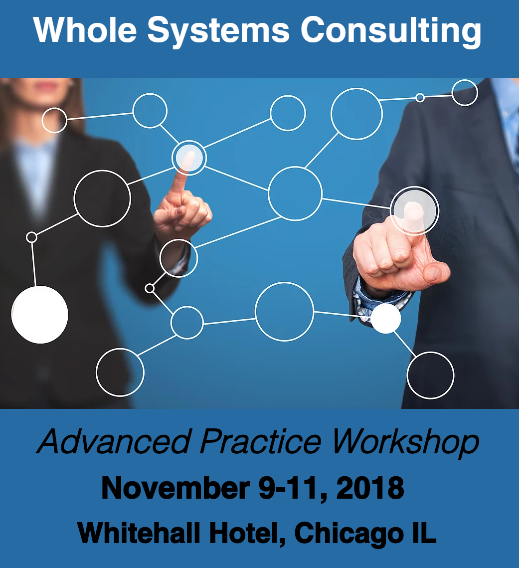 Advanced Practice of Organizational Consultation